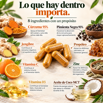 Ingredientes de Flexiva